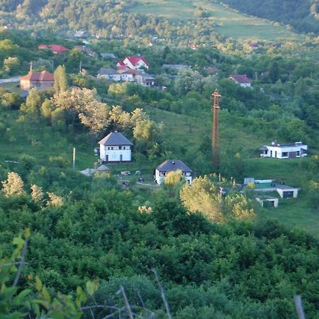Poienari Cottage Poe מראה חיצוני תמונה
