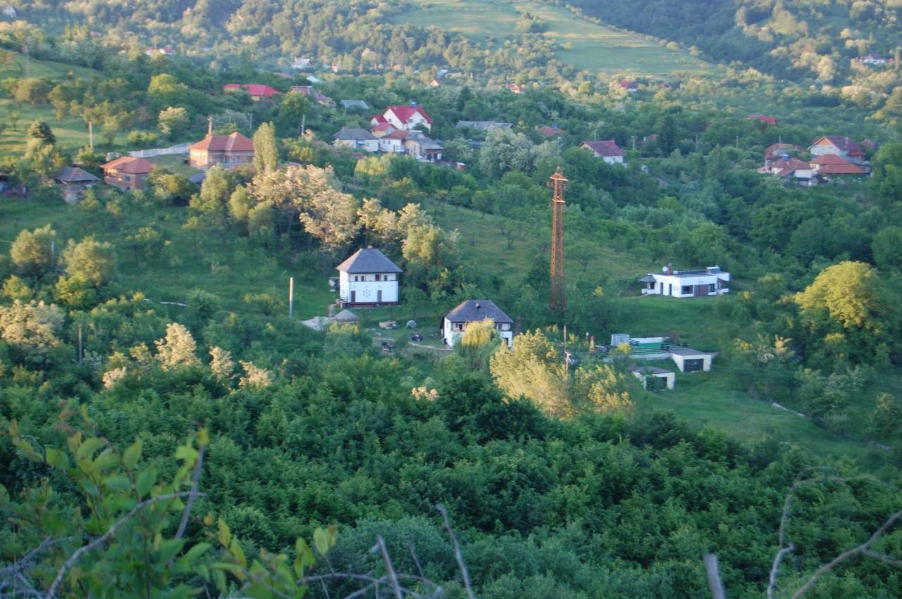 Poienari Cottage Poe מראה חיצוני תמונה